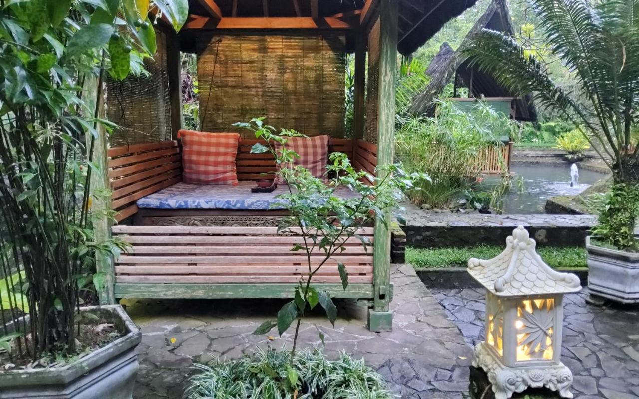 Mi Casa - The Gem Of Ijen Otel Banyuwangi  Dış mekan fotoğraf